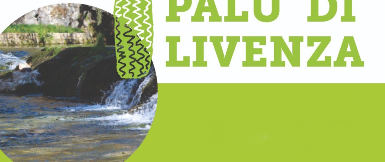 Palù di Livenza - Escursioni in barchini elettrici